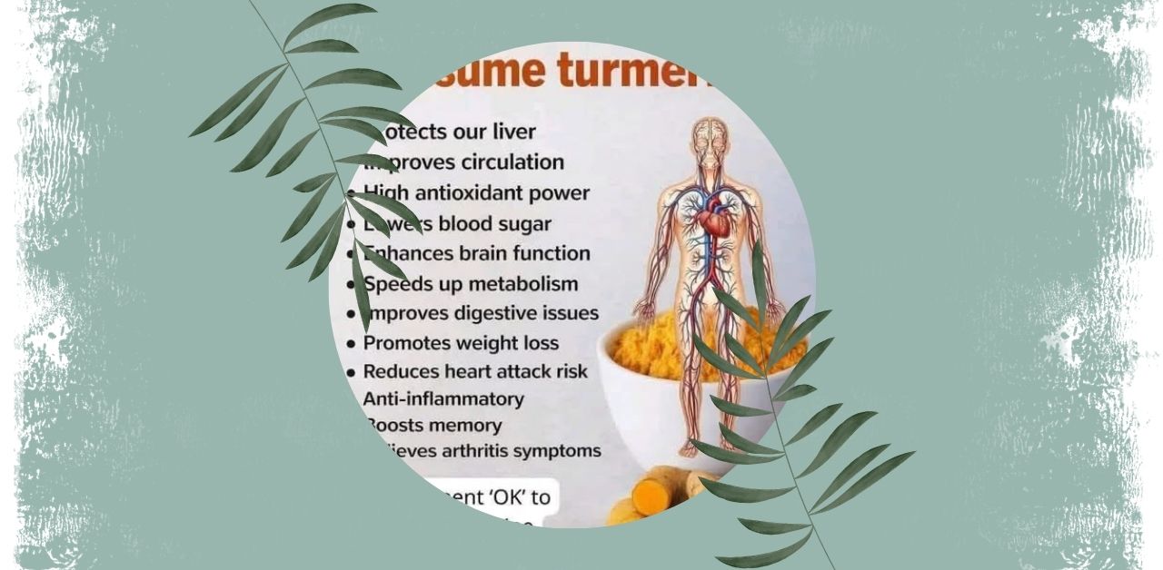 Turmeric and Wellness A Complete Guide