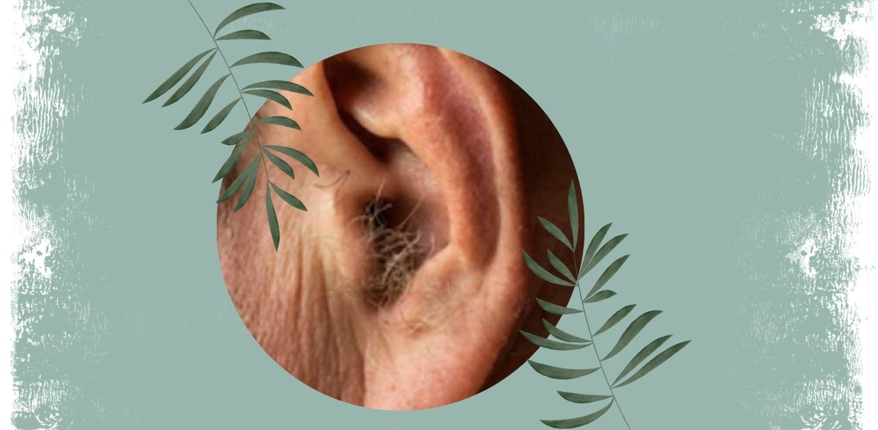 Ear Hair Growth Causes, Meaning, and Management