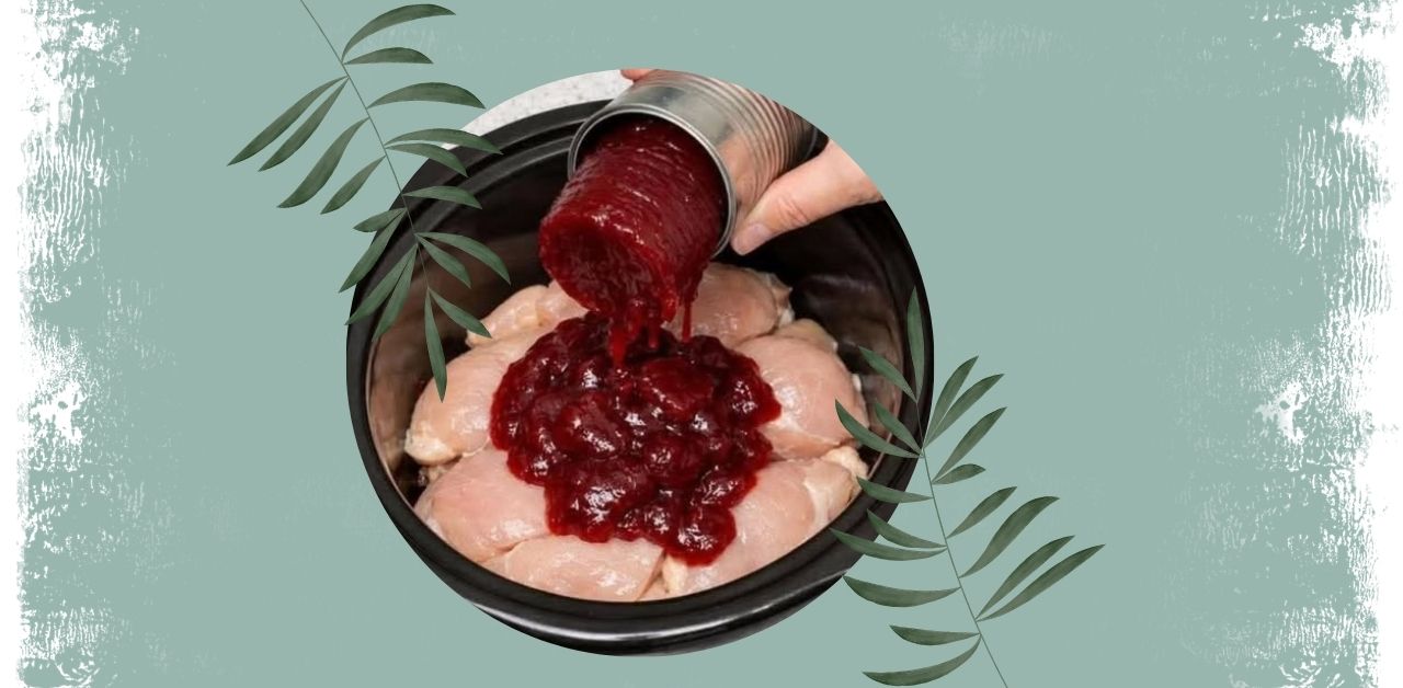 Crockpot Cranberry Chicken Recipe