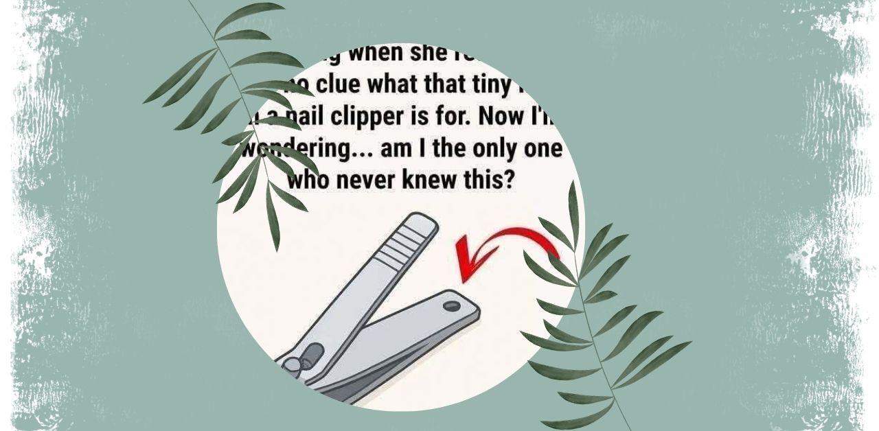 The Hidden Purpose of the Tiny Hole in Nail Clippers