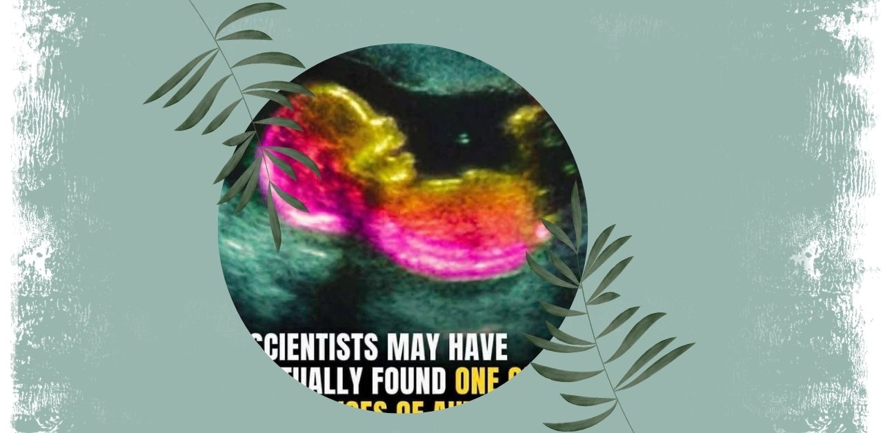 Exploring Scientific Research on Autism