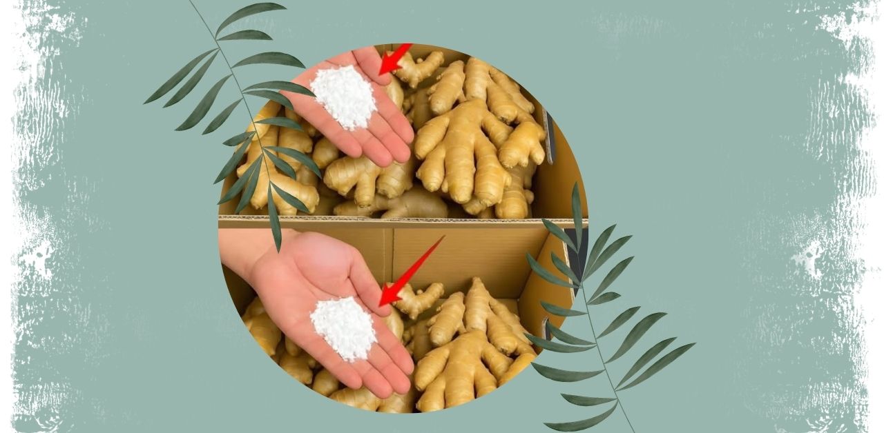 Storing Ginger for Long-Term Freshness Recipe