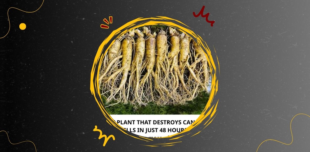 The Truth About the Cancer‑Fighting Plant